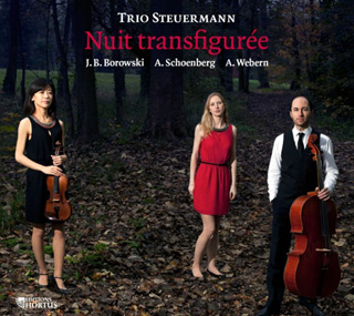 Le Trio Steuermann joue Borowski, Schönberg et Webern